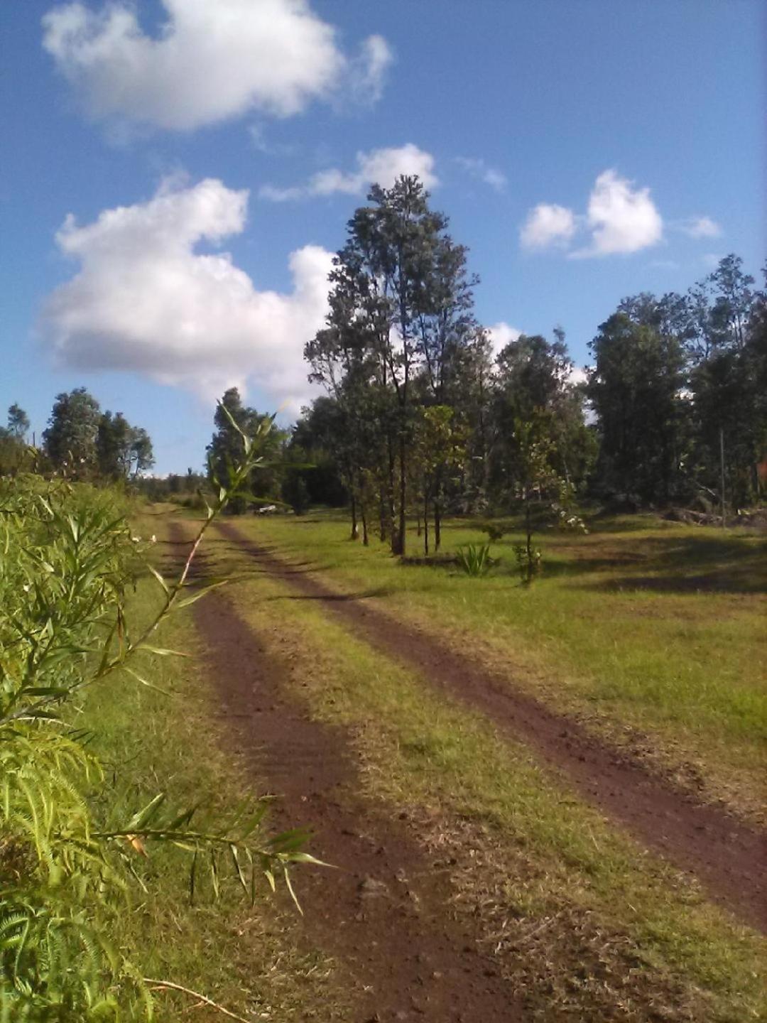 Simply Convenient Tropical Country Studio Mountain View Екстер'єр фото